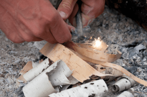 fire starter survival