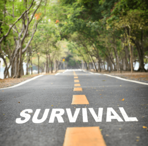survival plan