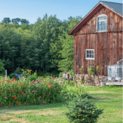 homestead plan, creating a self-sufficient sanctuary