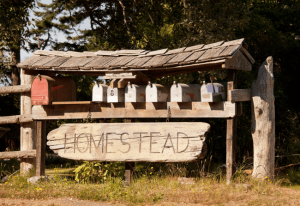 homestead planning