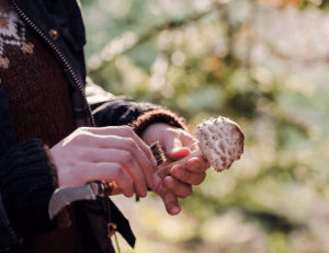how to forage