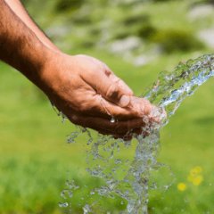 hygiene safety, personal care in survival situations