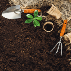 survival gardening, growing food for sustainability