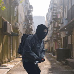 urban survival, navigating crisis in the concrete jungle