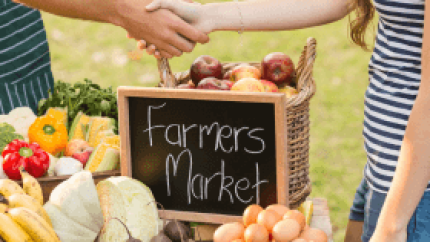 survival bartering, building relationships through trade