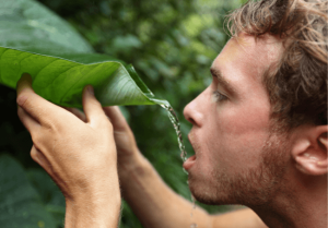 survival skills to learn