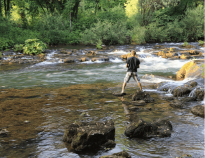 survival fishing